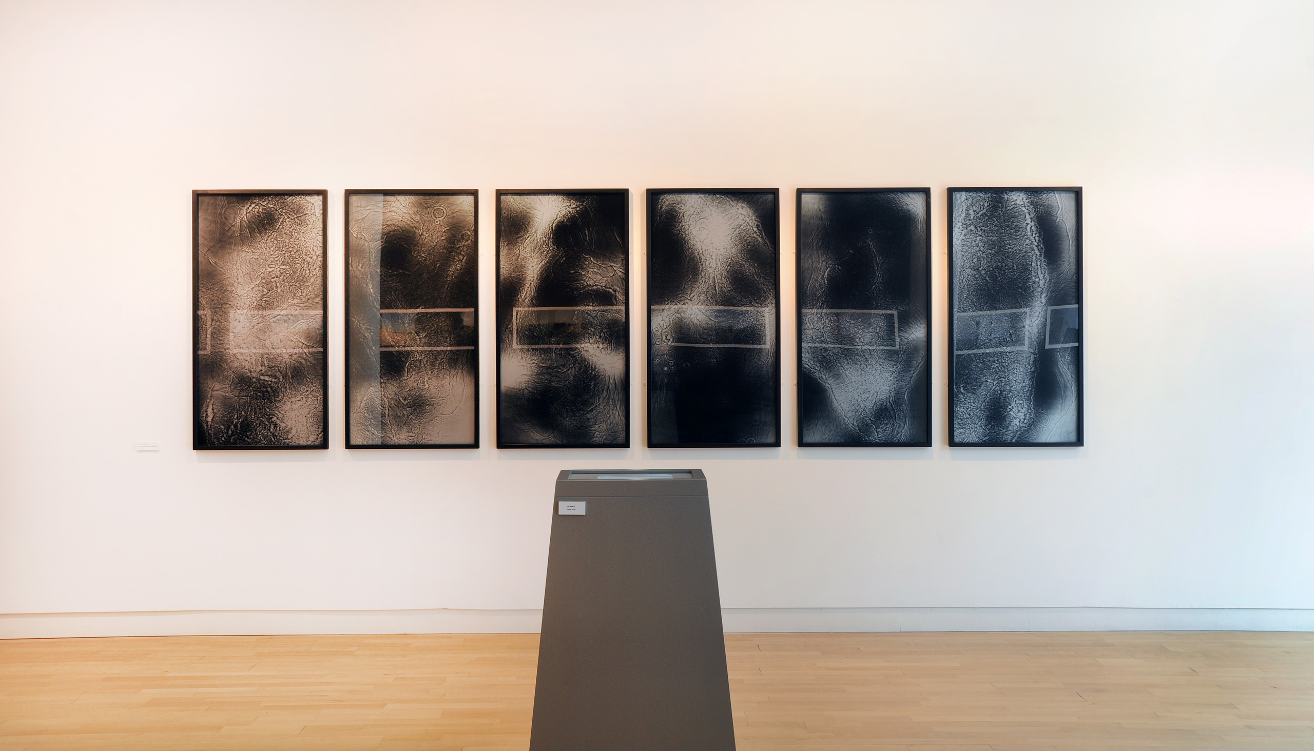 Installation view, Susanne Ramsenthaler