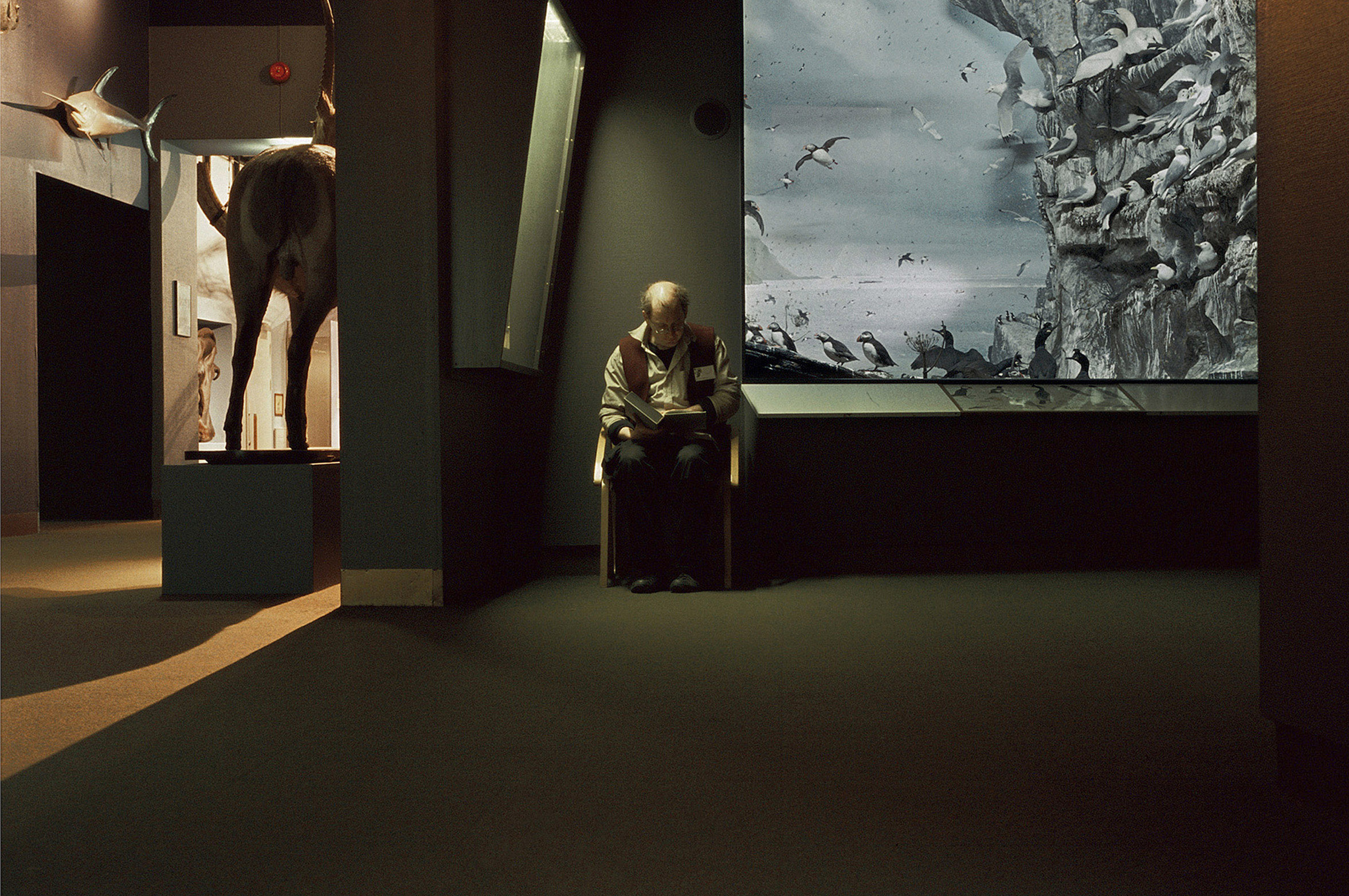 'Passage' (2007) - Ulla Schildt