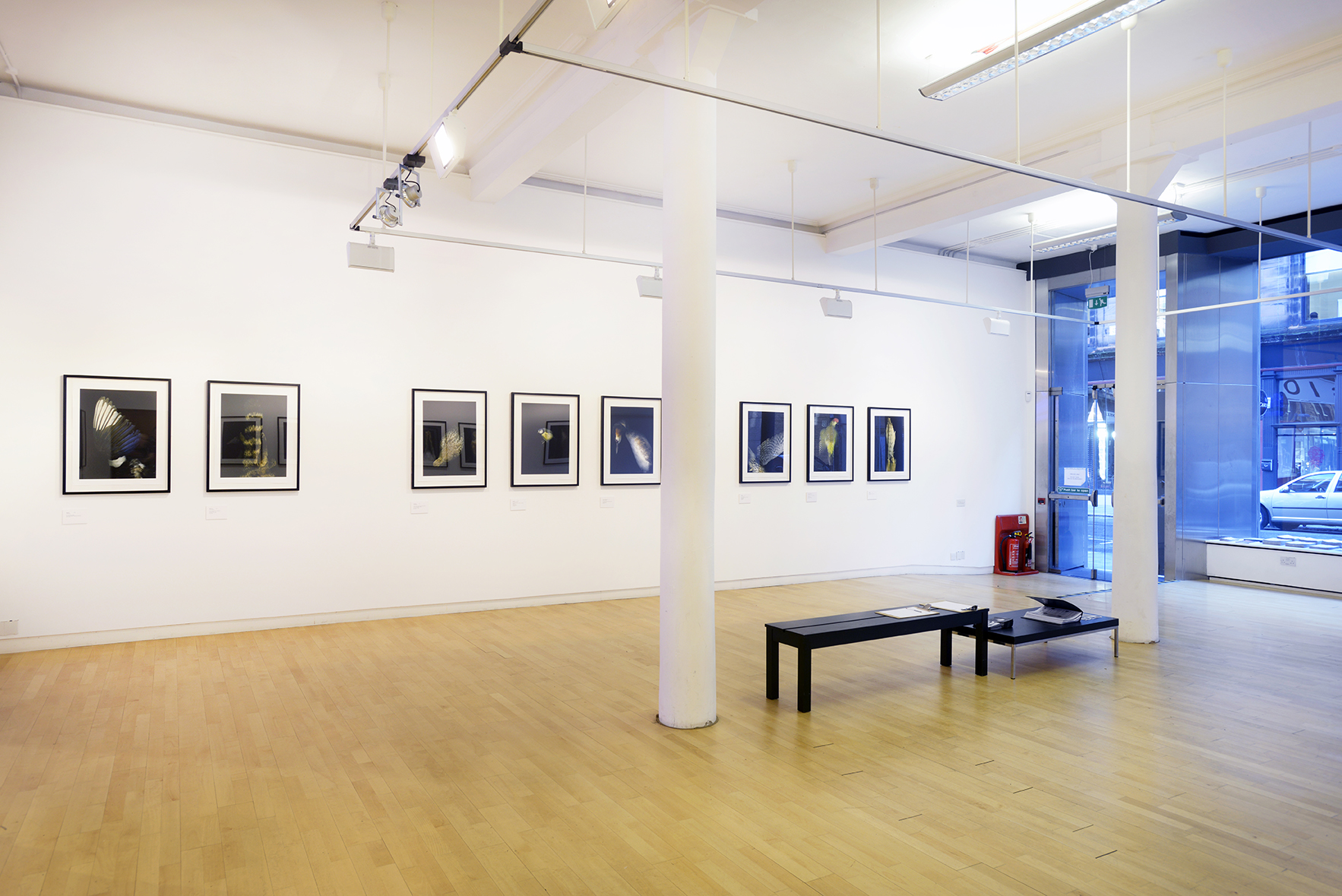 Installation view