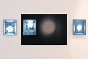 Alan Knox, Installation view