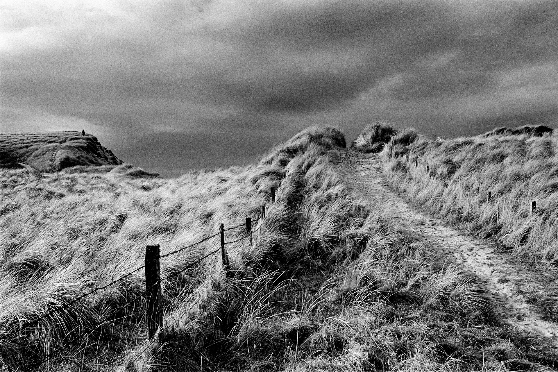 Image of Beach Path, Caithness by Glyn Satterley