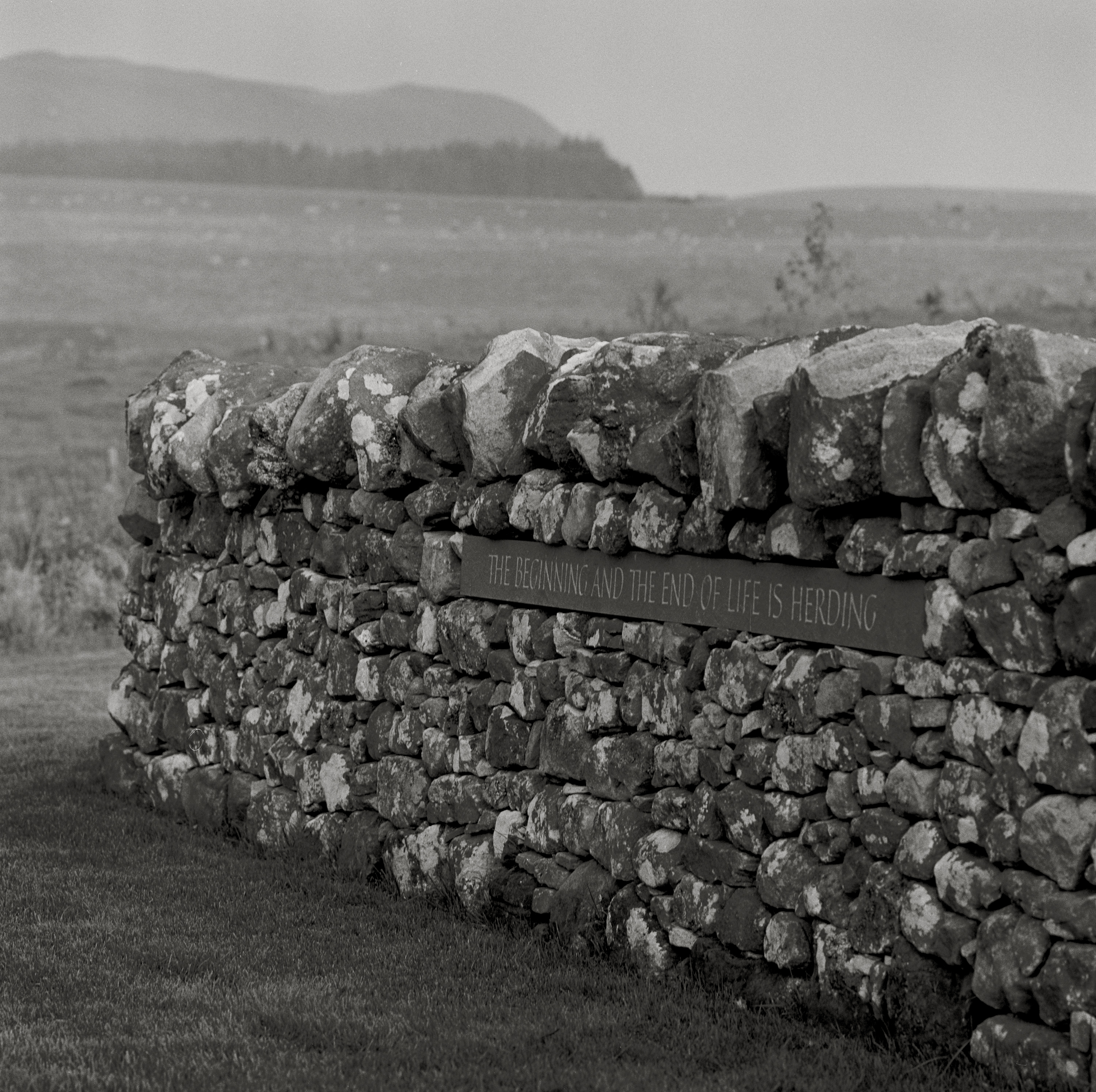 Image of The Beginning and the End of Life is Herding (1998) by Robin Gillanders