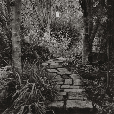 Image of Albrecht Durer Tree Plaque (1997) by Robin Gillanders