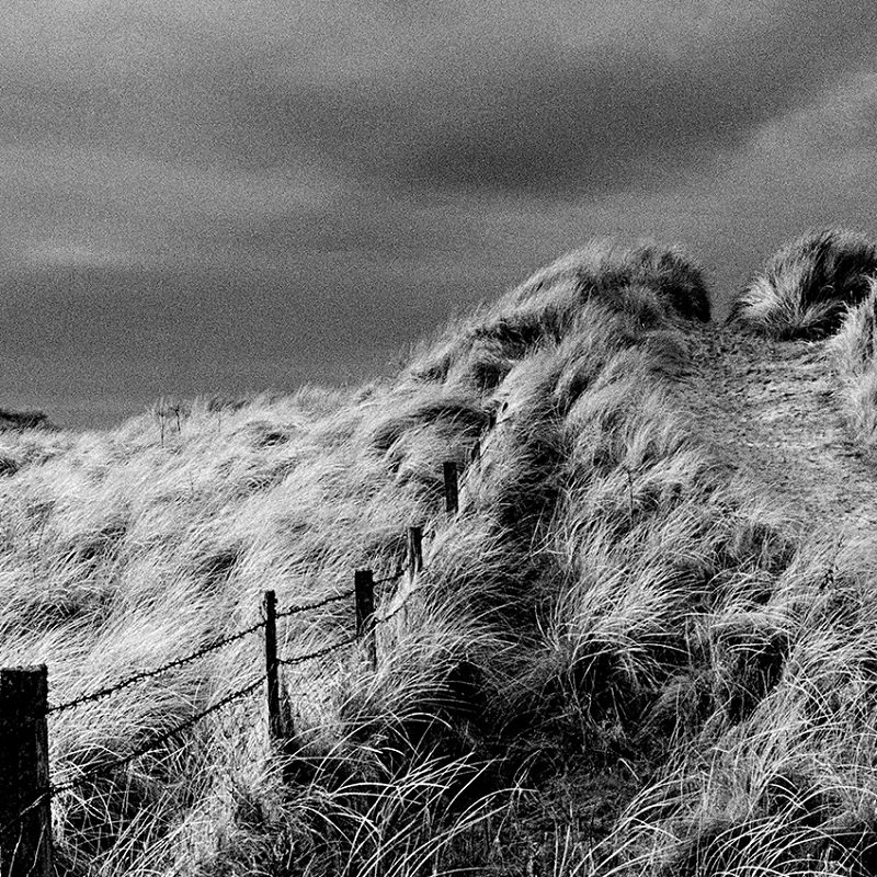 Image of Beach Path, Caithness by Glyn Satterley