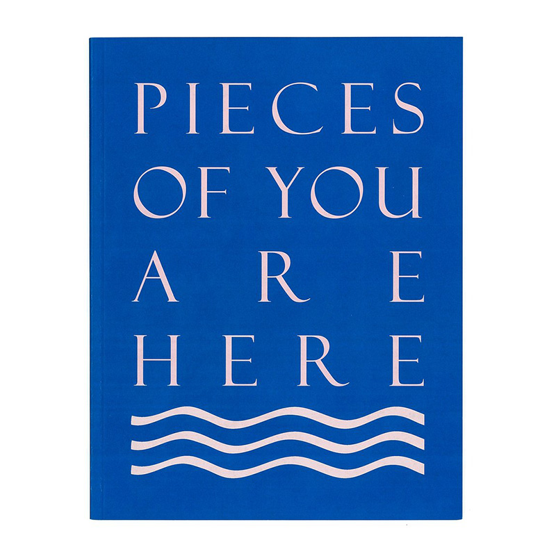 Image of Pieces of You Are Here (Book) by Lorna MacIntyre