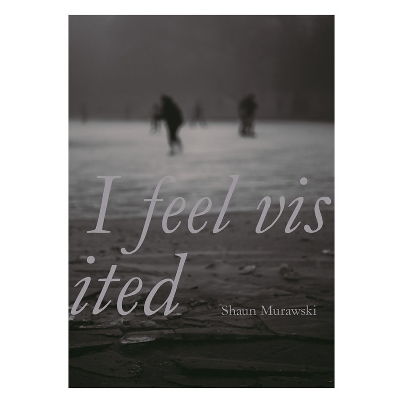 Image of I Feel Visited (Zine) by Shaun Murawski