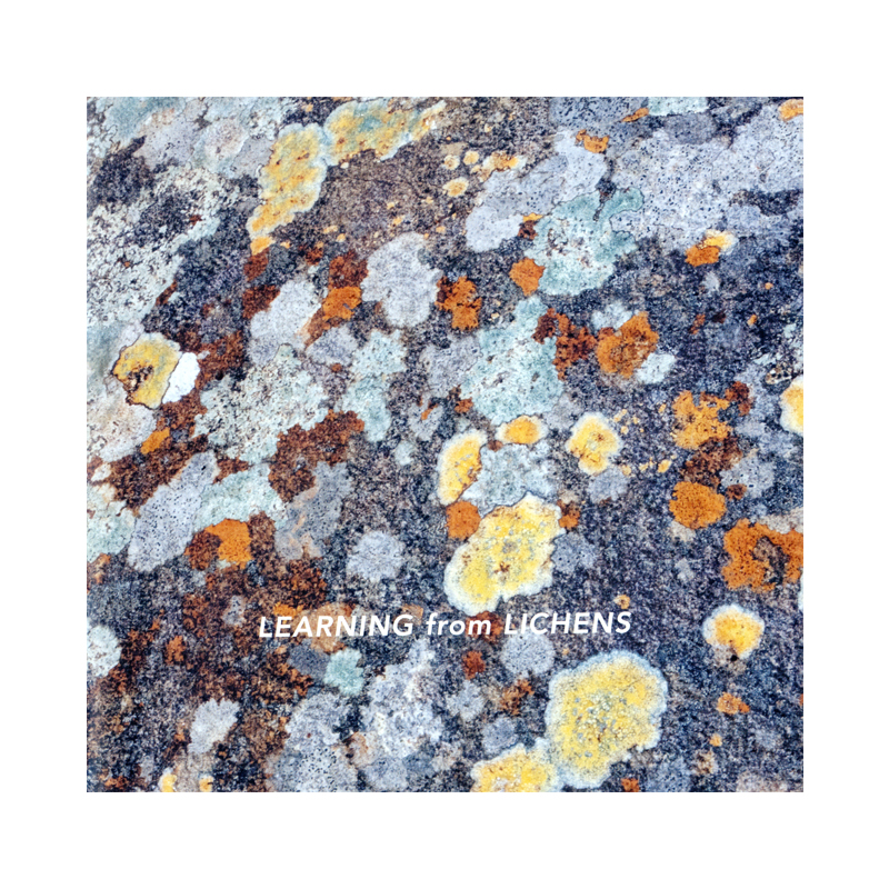 Image of LEARNING from LICHENS (Book) by Sandy Wotton