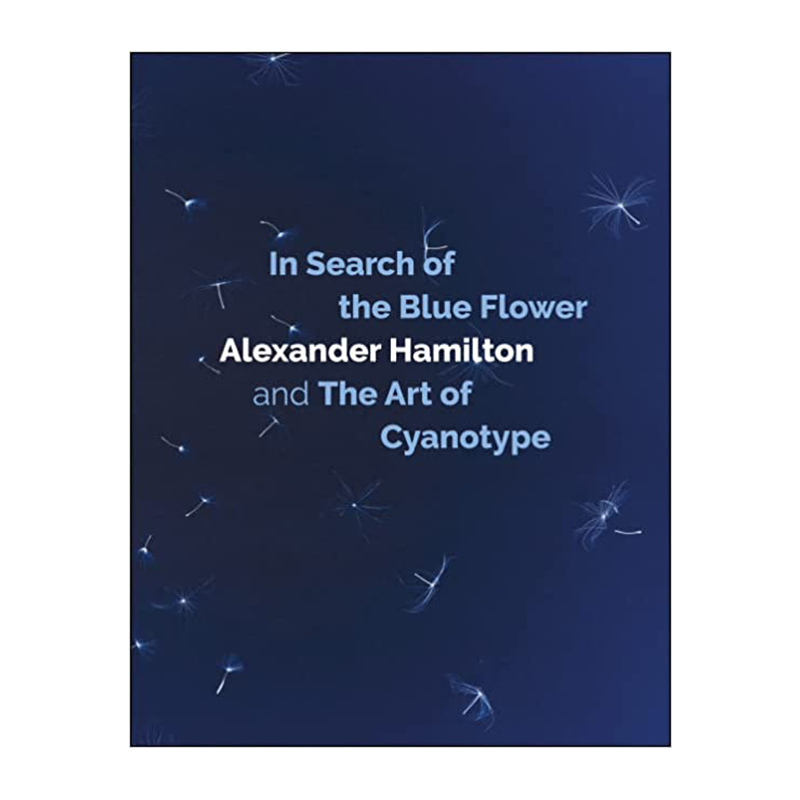 Image of In Search of the Blue Flower (Book) by Alexander Hamilton