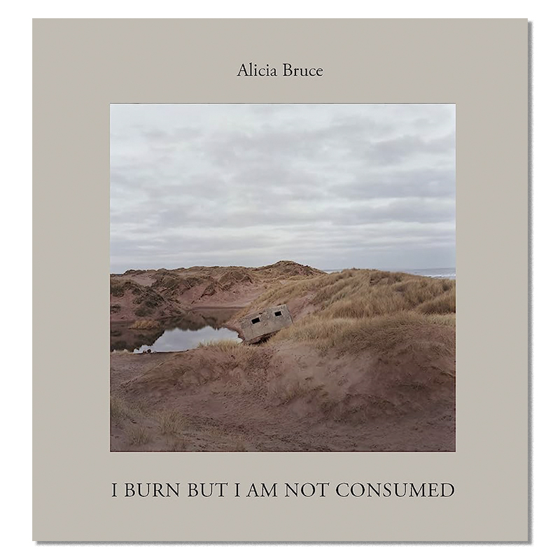 Image of I Burn But I Am Not Consumed (Book) by Alicia Bruce