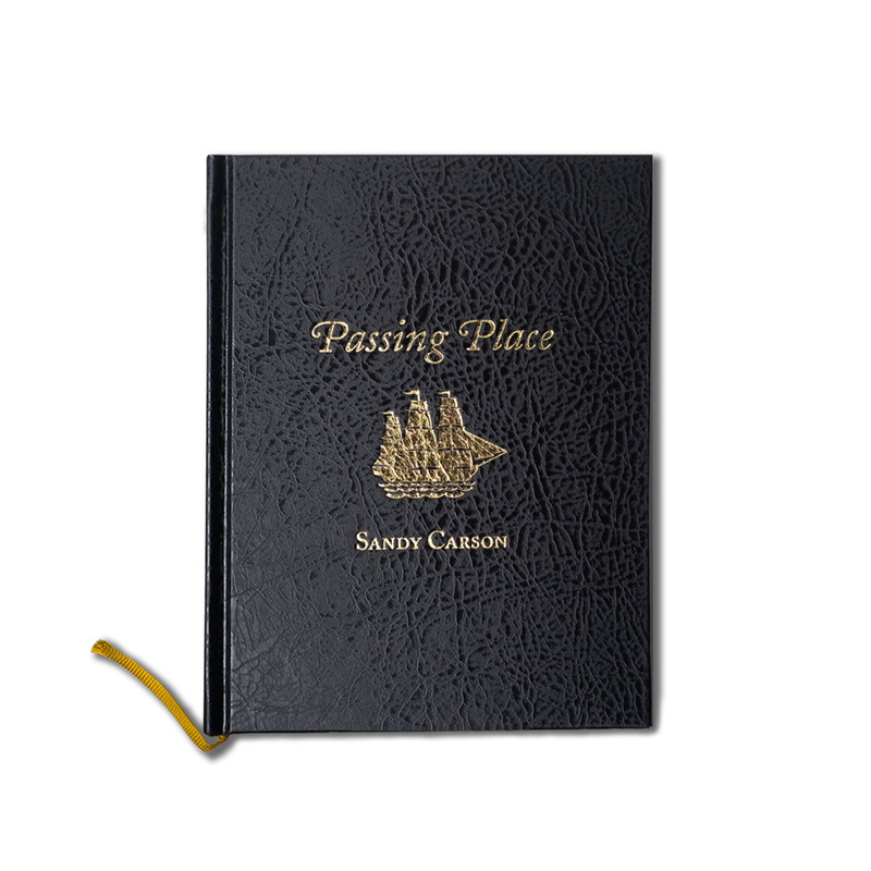Image of Passing Place (Book) by Sandy Carson