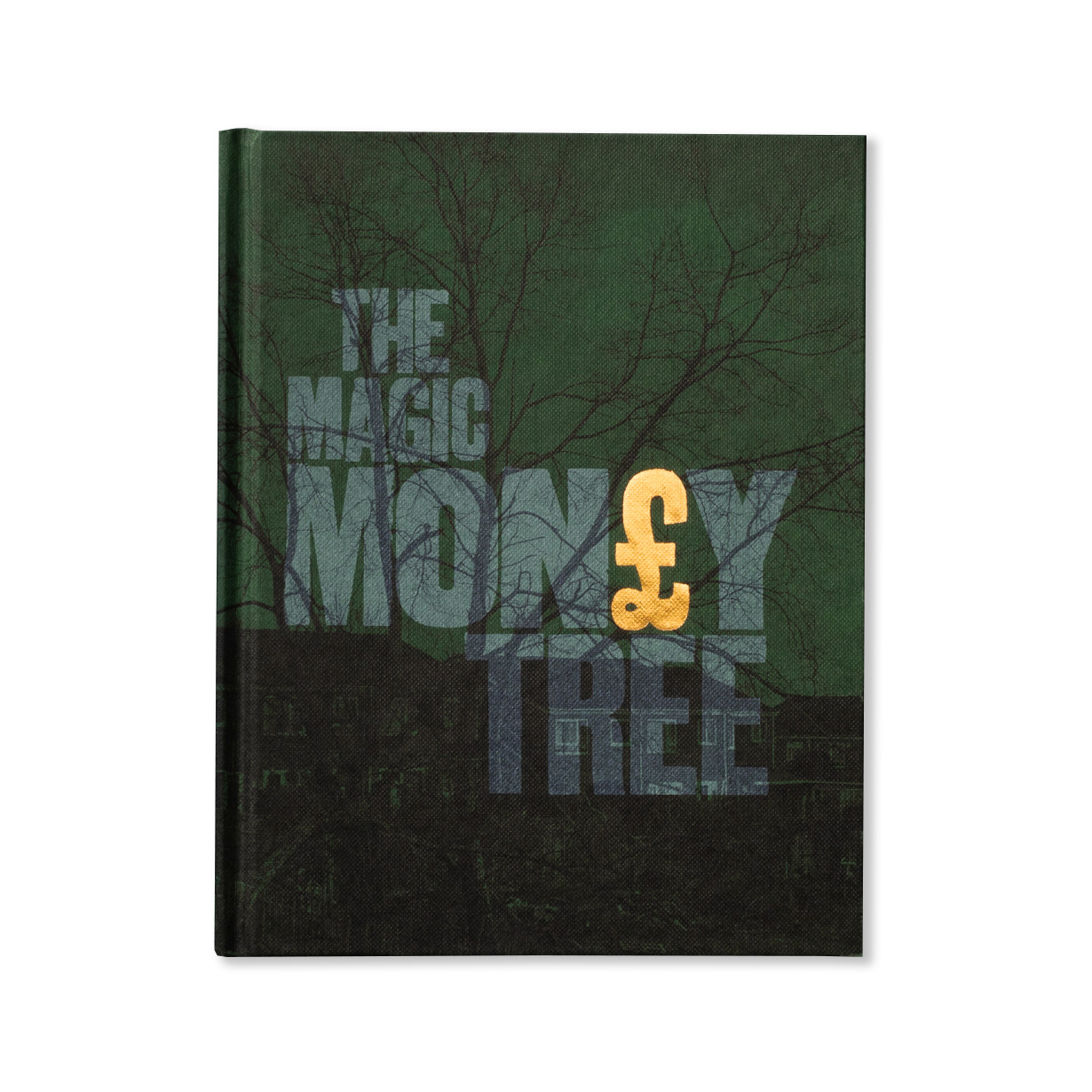 Image of The Magic Money Tree by Kirsty Mackay