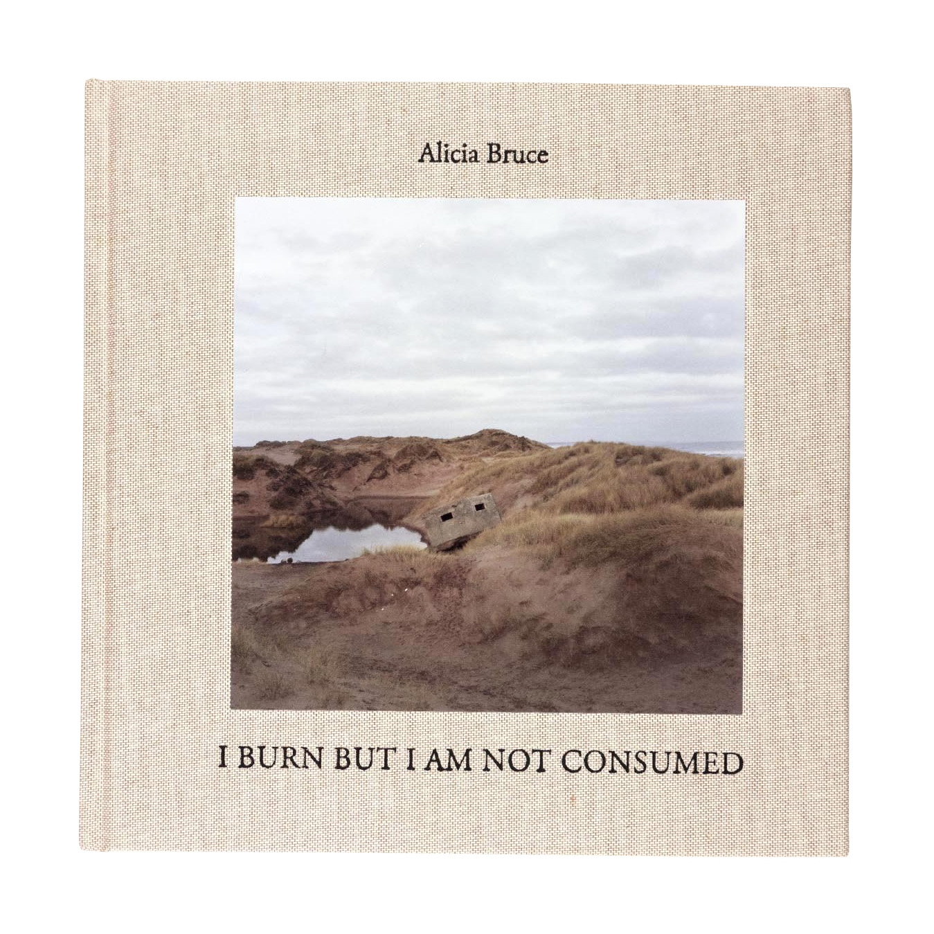Image of I Burn But I Am Not Consumed (Book) by Alicia Bruce