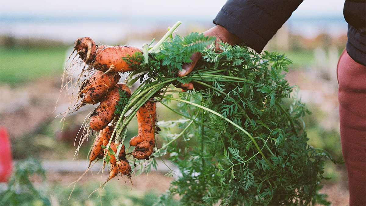 We Feed The UK exhibition at Primary, Nottingham