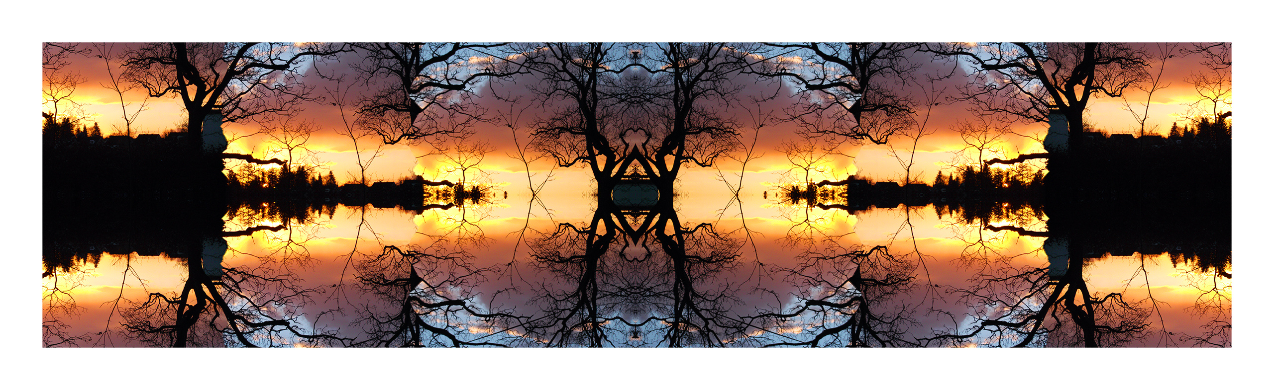Panorama made with Drymen pupils