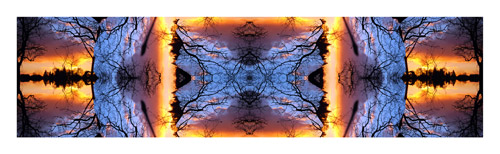 Panorama made with Drymen pupils