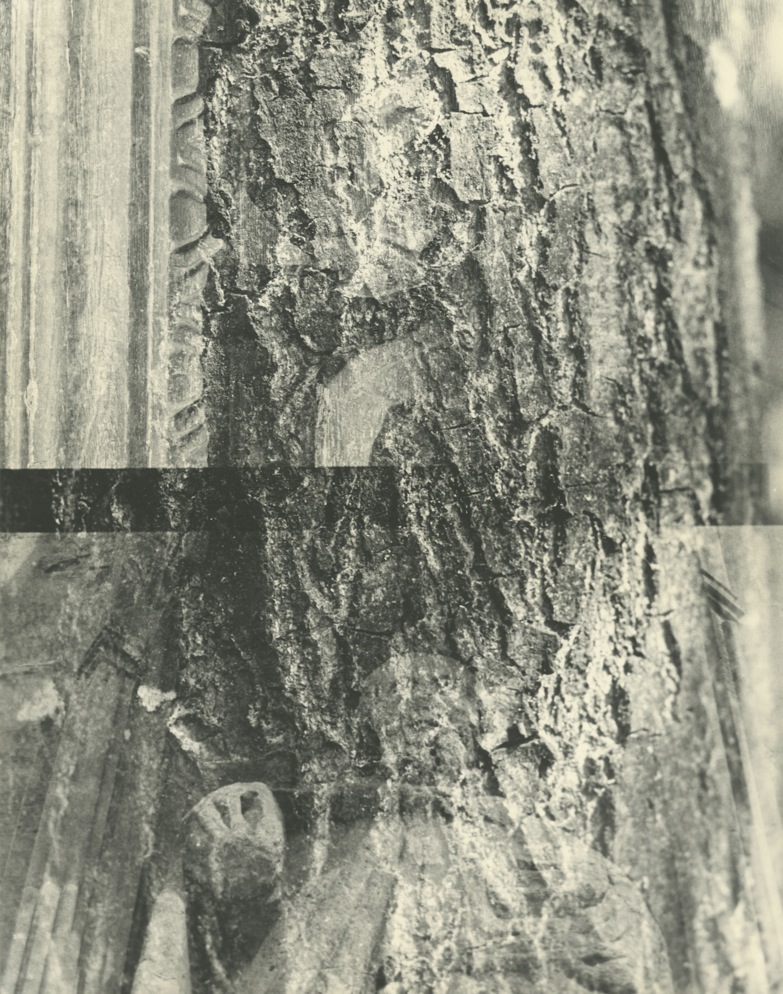 Lorna Macintyre - 'Limestone/Oak/Cammomile'